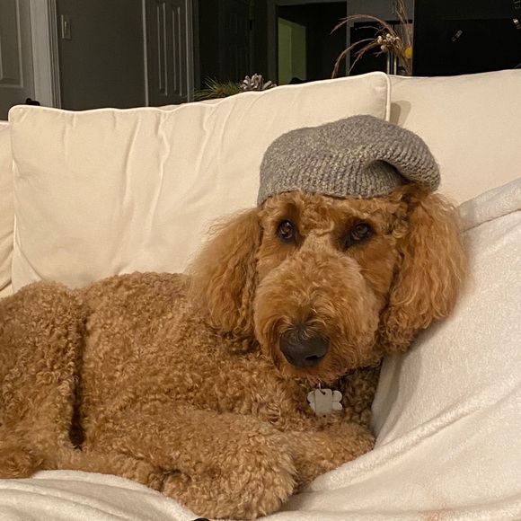 Meet your Posher, John - Picture 1 of 1